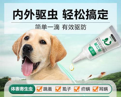 狗狗驱虫药的重要性与正确使用指南